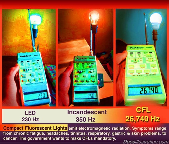 Light bulb factory closes; End of era for U.S. means more jobs overseas 2 CFL dees