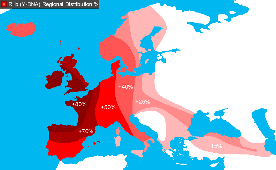 r1b dna distribution