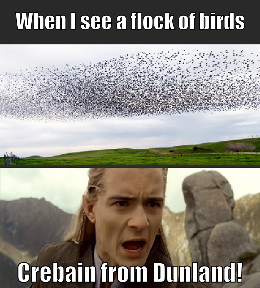 crebain from dunland