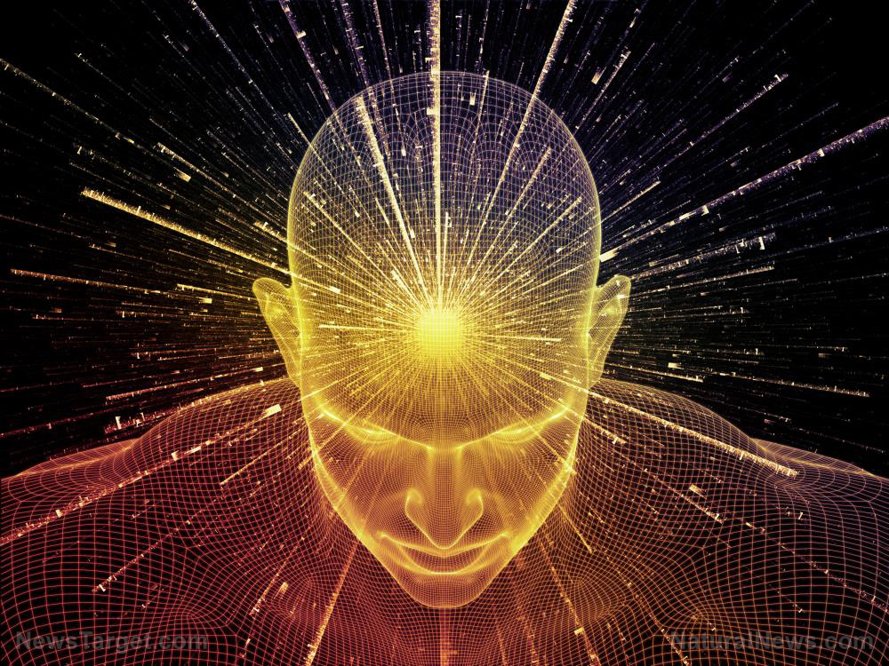 conscious mind brain thinking