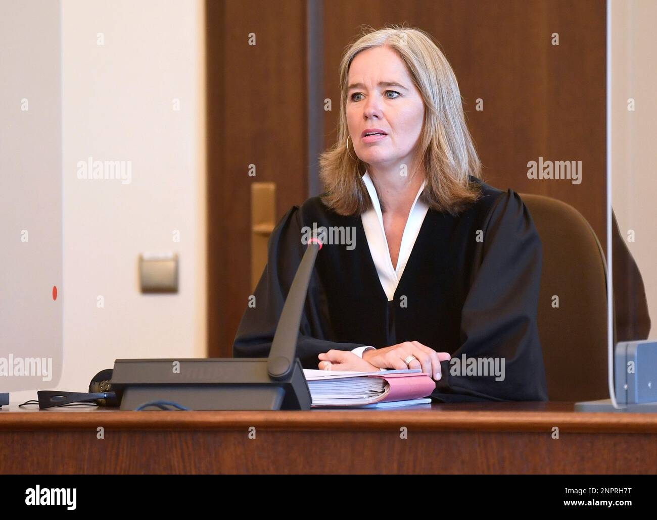 judge anne meier goering
