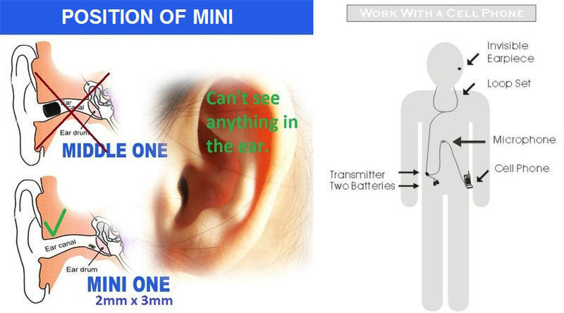Neckloop Ear Scheme
