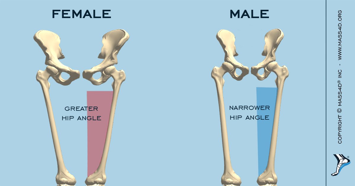male female skeleton 2