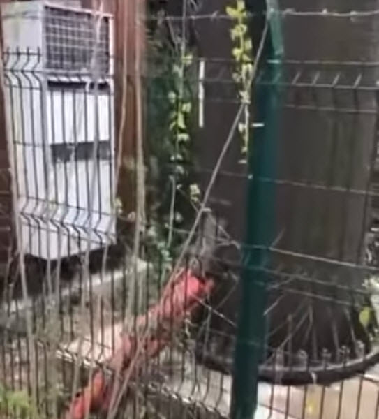 Debunking the 5G Hoax with Technical Data 6 9SFnwIj