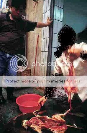 ps AsianAnimalProtectionNetwork7 Ca