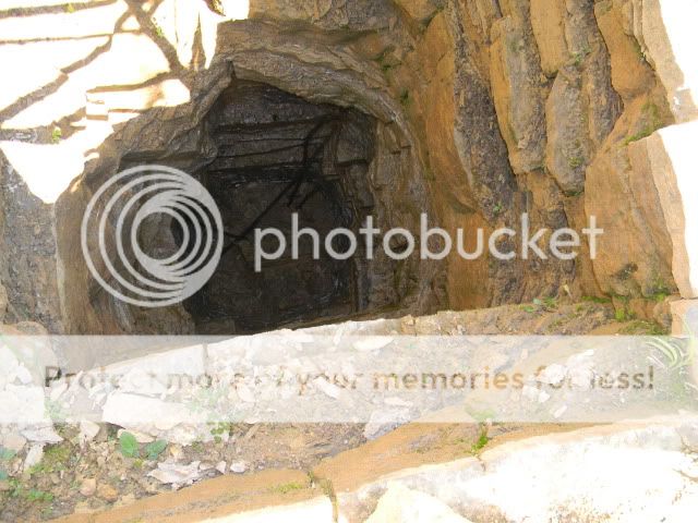 DSCN0585