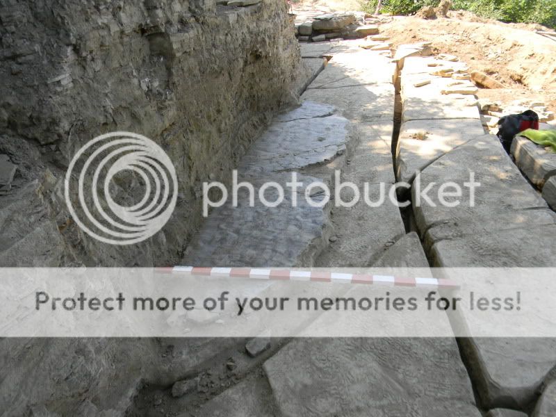DSCN1567