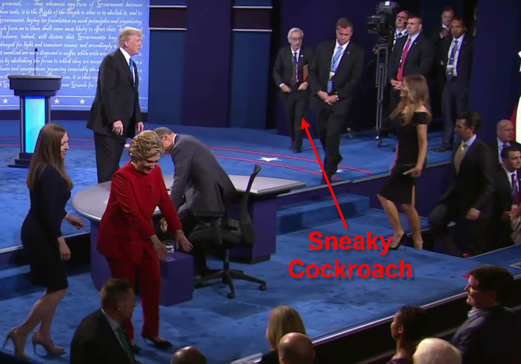 sneaky cockroach
