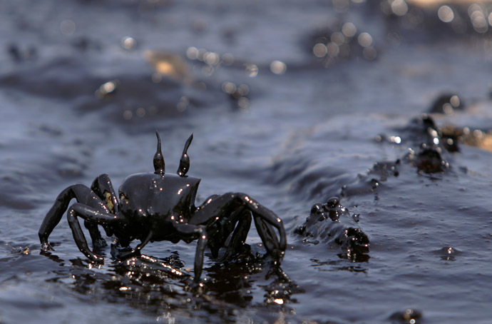 Israel owes Lebanon $850 milion for oil spill - UN 2 000 dv98280