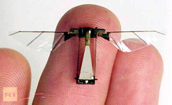 iae4d628854d9329bcfa0c6c7ec7667b0 insect fly bot drone
