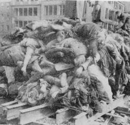 Pile of German Corpses