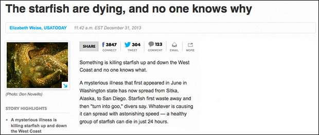 Massive Die-Off of West Coast Sea Life Accelerates 2 011214usatoday