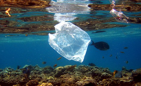 Tesco's 'green' bags are WORSE for the environment 2 article 0 005E653300000578