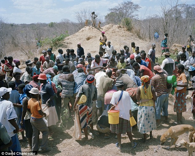 Battle begins: Soon, the villagers are fighting to get the urgently-needed meat 