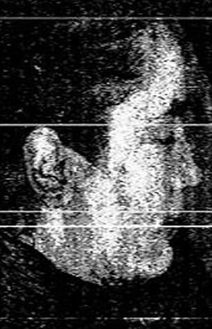 The first images of the 'Black Widow' suicide bombers