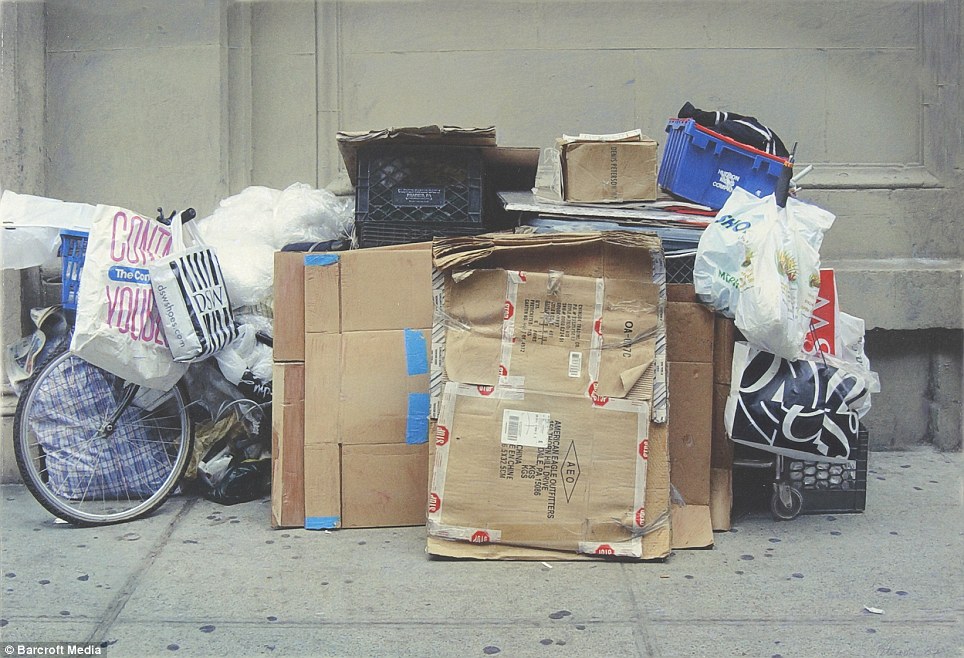 Artist Denis Petersonís's realistic paintings that look like photographs 3 article 1342463 0C999367000005DC