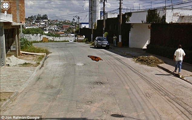 Funny Google Street View Images to feature in London Art Exhibition 13 article 2179219 14391D48000005DC