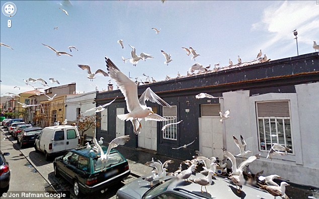 Funny Google Street View Images to feature in London Art Exhibition 5 article 2179219 14391D54000005DC