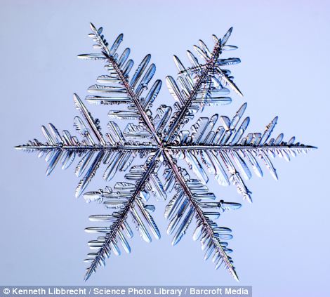 US scientist shows on microscope how beautiful snowflakes are 7 article 2253107 16A5E7D6000005DC