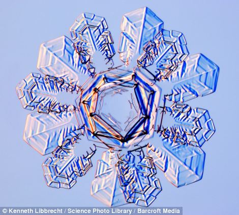 US scientist shows on microscope how beautiful snowflakes are 6 article 2253107 16A5E7DE000005DC