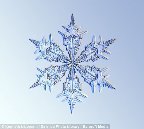 US scientist shows on microscope how beautiful snowflakes are 5 article 2253107 16A5E7E2000005DC