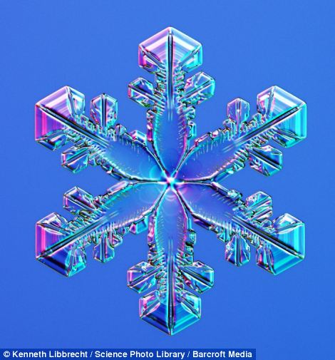 US scientist shows on microscope how beautiful snowflakes are 9 article 2253107 16A5E7E6000005DC