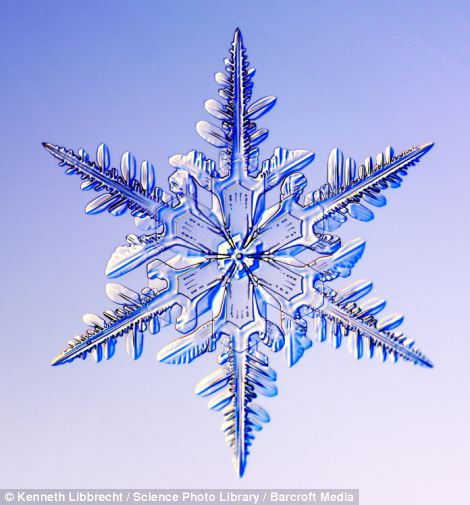 US scientist shows on microscope how beautiful snowflakes are 8 article 2253107 16A5E825000005DC