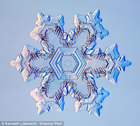US scientist shows on microscope how beautiful snowflakes are 3 article 2253107 16A5E83D000005DC