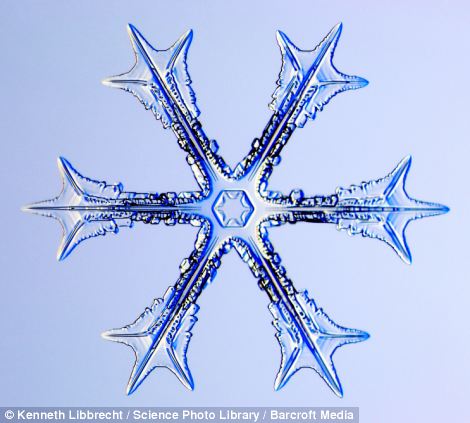 US scientist shows on microscope how beautiful snowflakes are 2 article 2253107 16A5E842000005DC
