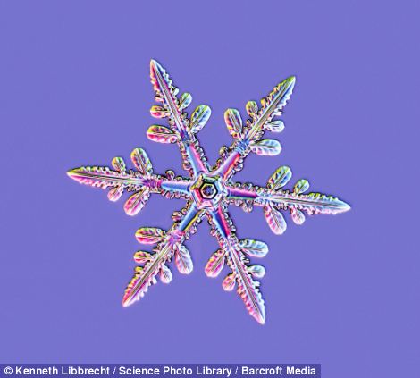 US scientist shows on microscope how beautiful snowflakes are 16 article 2253107 16A5E849000005DC
