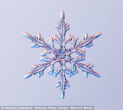 US scientist shows on microscope how beautiful snowflakes are 15 article 2253107 16A5E85E000005DC