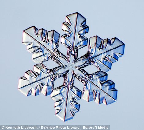 US scientist shows on microscope how beautiful snowflakes are 14 article 2253107 16A5E869000005DC