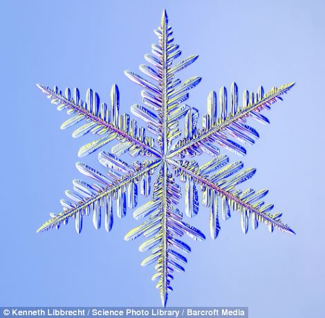 US scientist shows on microscope how beautiful snowflakes are 13 article 2253107 16A5E86D000005DC
