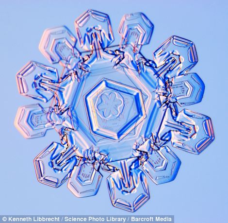US scientist shows on microscope how beautiful snowflakes are 12 article 2253107 16A5E872000005DC
