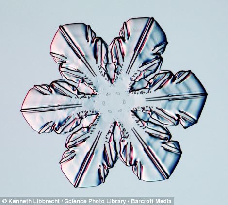 US scientist shows on microscope how beautiful snowflakes are 11 article 2253107 16A5E877000005DC