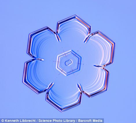 US scientist shows on microscope how beautiful snowflakes are 10 article 2253107 16A5E881000005DC
