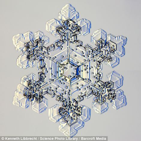 US scientist shows on microscope how beautiful snowflakes are 23 article 2253107 16A5E885000005DC