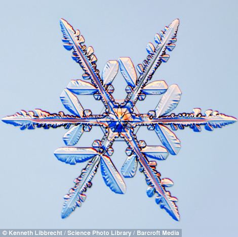 US scientist shows on microscope how beautiful snowflakes are 22 article 2253107 16A5E889000005DC