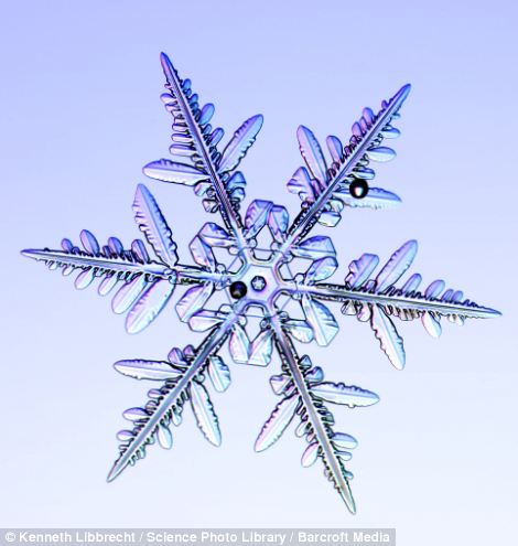 US scientist shows on microscope how beautiful snowflakes are 21 article 2253107 16A5E895000005DC