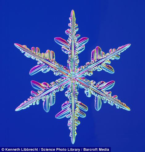 US scientist shows on microscope how beautiful snowflakes are 20 article 2253107 16A5E899000005DC