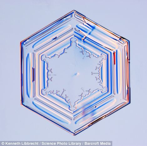 US scientist shows on microscope how beautiful snowflakes are 19 article 2253107 16A5E89E000005DC