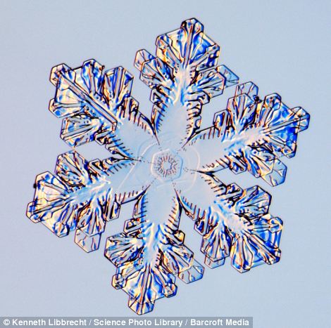 US scientist shows on microscope how beautiful snowflakes are 18 article 2253107 16A5E8A2000005DC