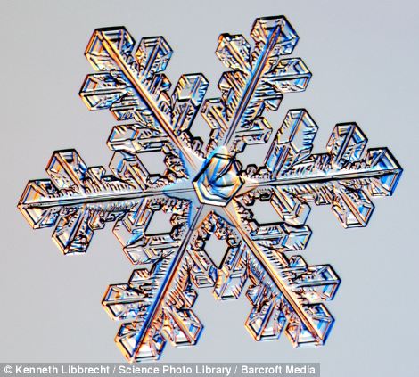 US scientist shows on microscope how beautiful snowflakes are 17 article 2253107 16A5E8B9000005DC