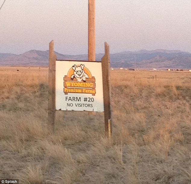 Nine arrested for shocking animal cruelty at Wyoming pig farm 4 article 2253325 16A7F3DE000005DC