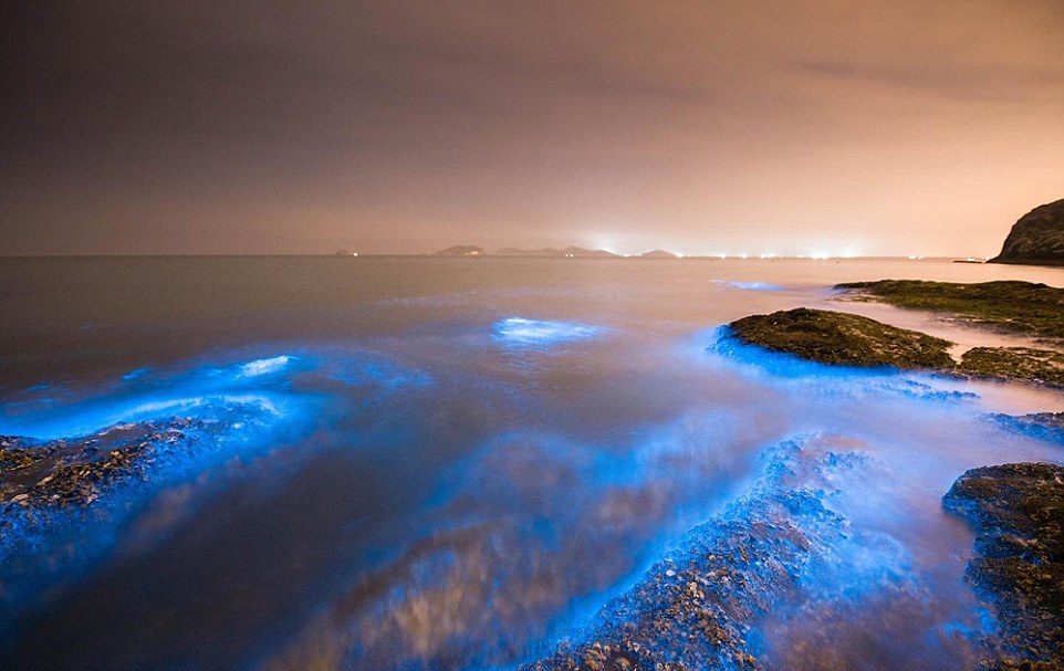 28AA2DAE00000578 3082525 It is the second time that Sea Sparkle has appeared on the coast a 4 1431655064750