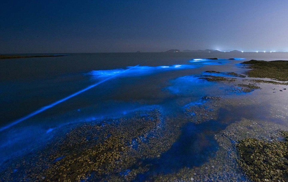 28AA2DB700000578 3082525 A spectacular phenomenon known as Sea Sparkle has appeared on th a 1 1431655064745