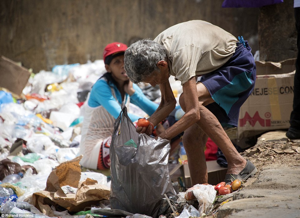 Venezuelans Turn Garbage Scavengers As Socialist Elites Live Like Kings 29 35446BE400000578 3640941 image a 72 1465914904592