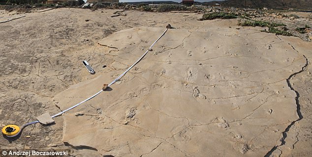 Nearly 6 Million year old Footprints found in Greece say Europeans did NOT Originate from Africa 3 43CB6E6800000578 0 image m 5 1504286243066