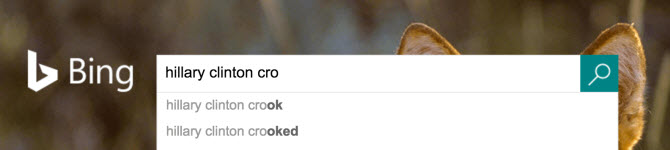 hillary clinton cro bing