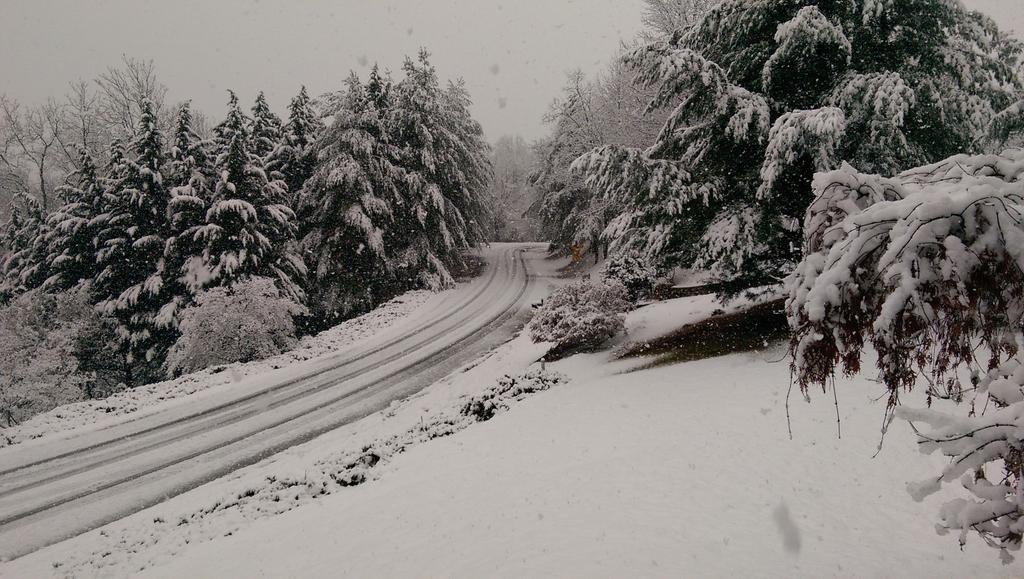 Airlines cancel hundreds of flights on Thanksgiving as snow storm rips through Northeast 3 B3YJNMbIgAA Ah